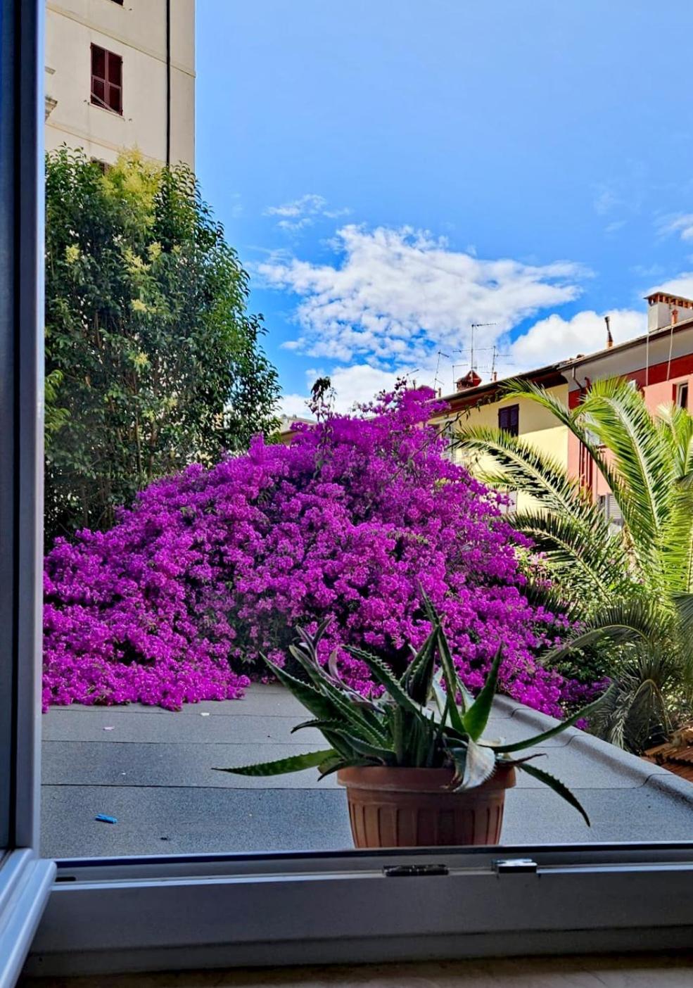 Appartement Ancora Qui, Nel Golfo Dei Poeti à La Spezia Extérieur photo